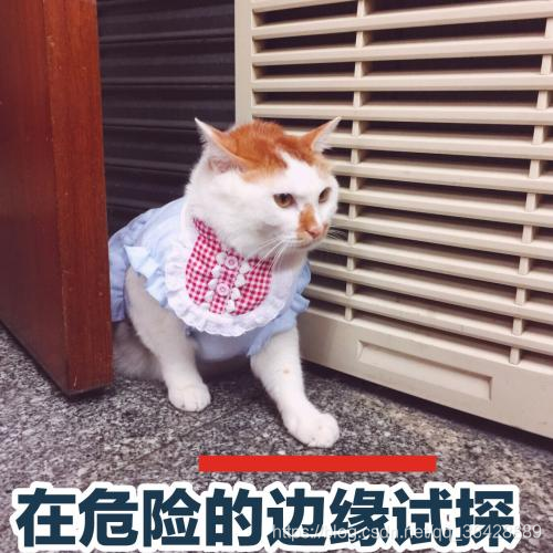 啦啦啦
